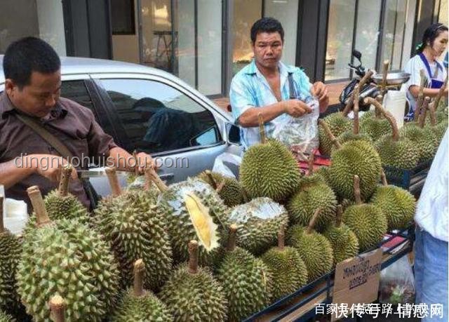 中国游客在新加坡酒店食用榴莲遭千元罚款案例研究
