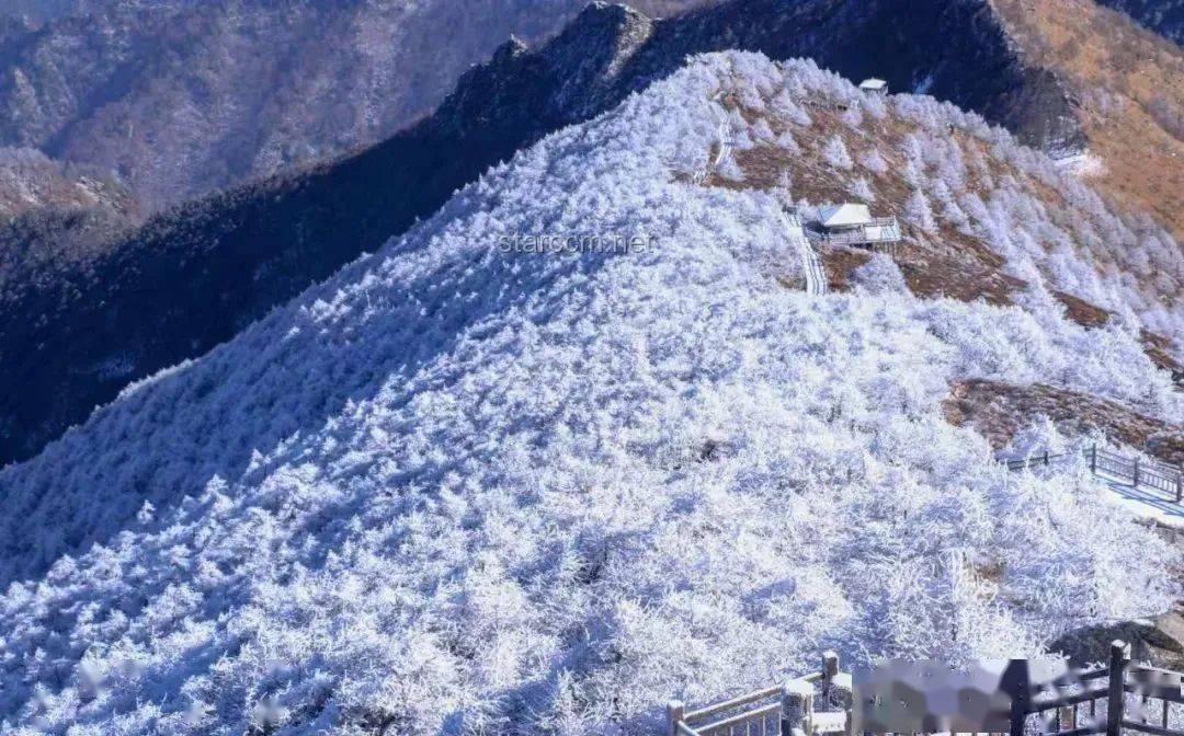 冬季日初·雪境创新启示录，大雪，灵感迸发